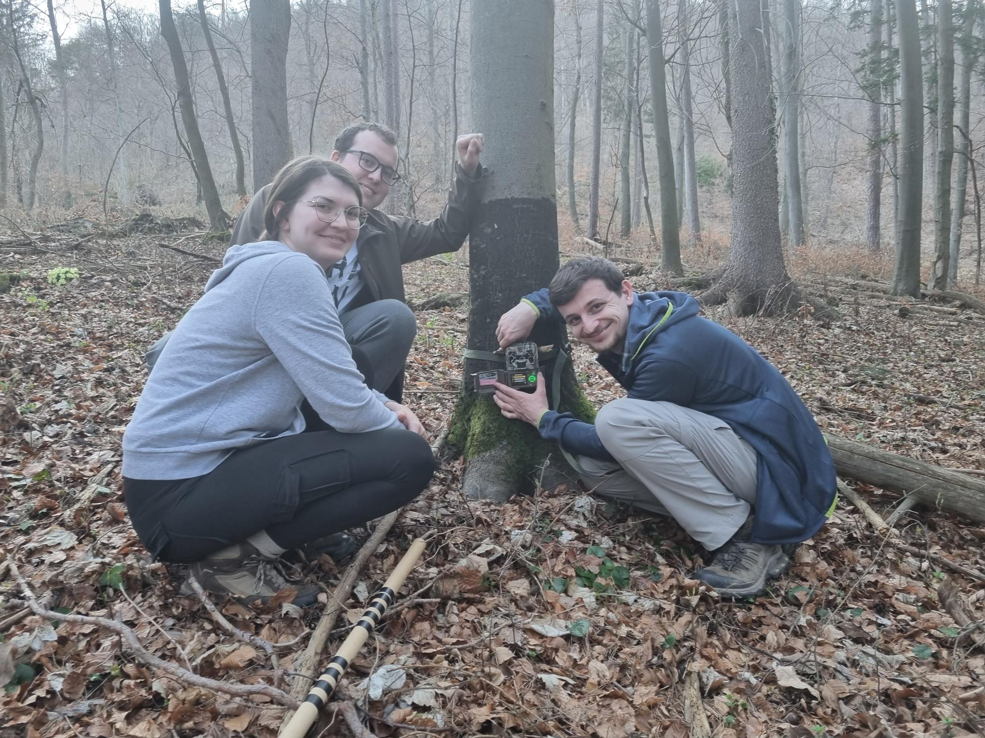 Stepping up-  Playing a part in revolutionising our understanding of large mammal populations in Europe.