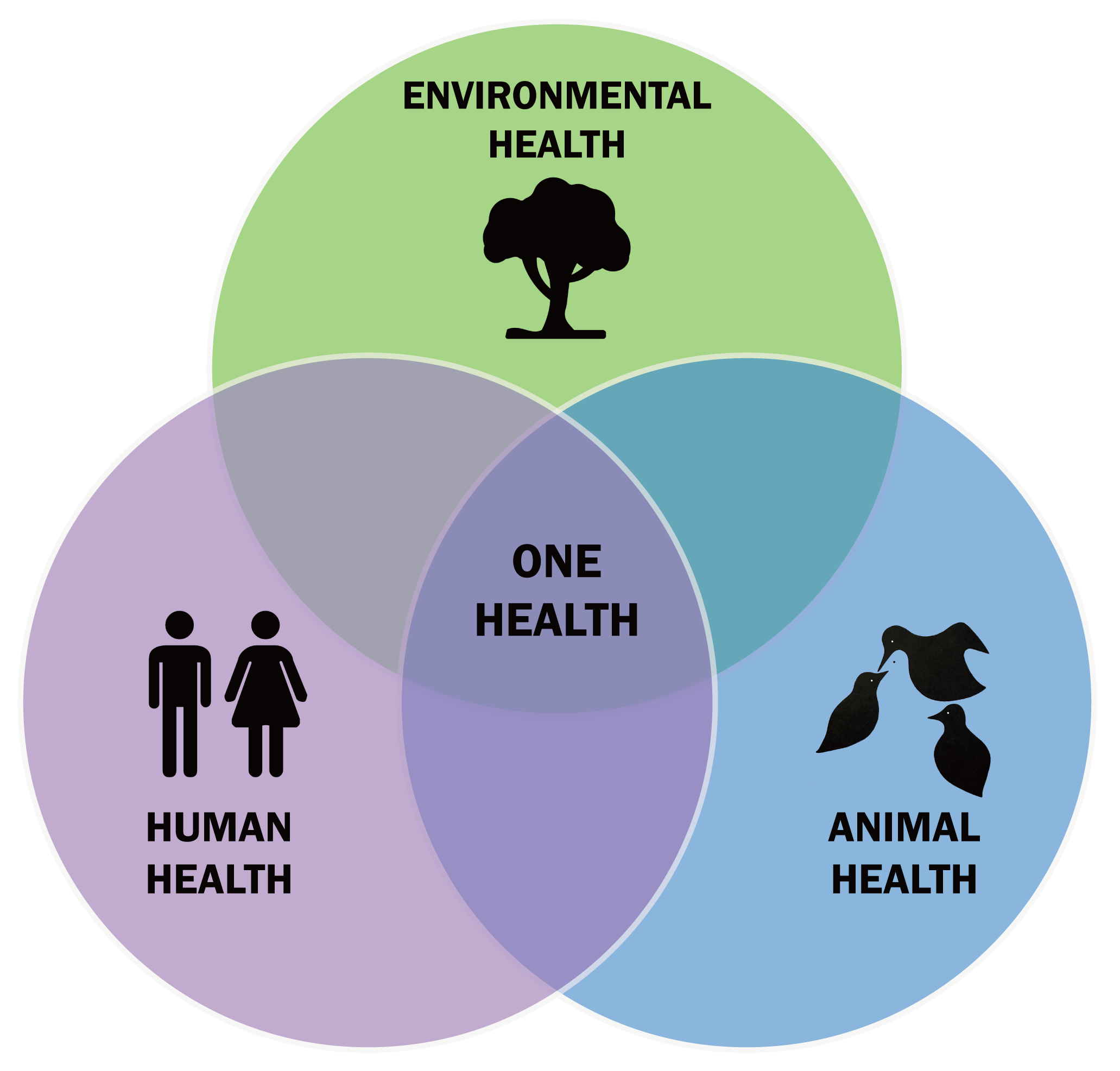 Empowering Communities in Environmental Protection for Disease Prevention